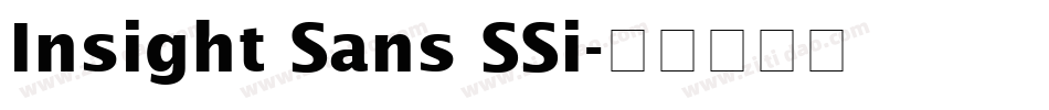 Insight Sans SSi字体转换
